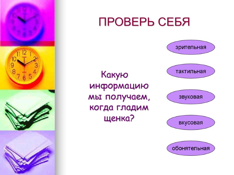 ПРОВЕРЬ СЕБЯ     Какую информацию мы получаем, когда гладим щенка? зрительная